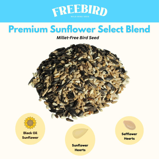 Songbird Sunflower & Safflower Blend – 6 lb