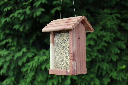 The Benefits of No-Mess Bird Seed Blends