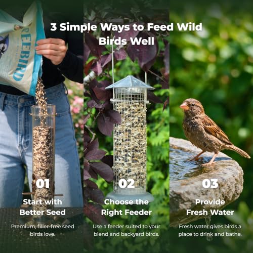 Freebird Premium Sunflower & Safflower Bird Seed for Outdoor Feeders - 6 lb