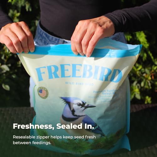 Freebird Premium Sunflower & Safflower Bird Seed for Outdoor Feeders - 6 lb
