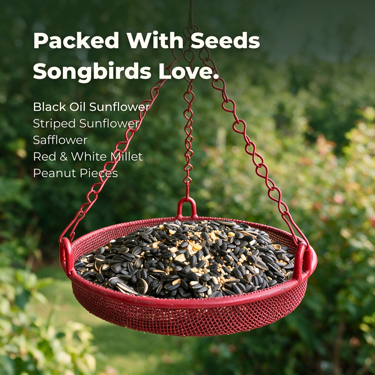 Premium Songbird Blend – 5 lb