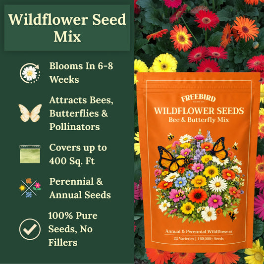 Pollinator Wildflower Mix – 4 oz
