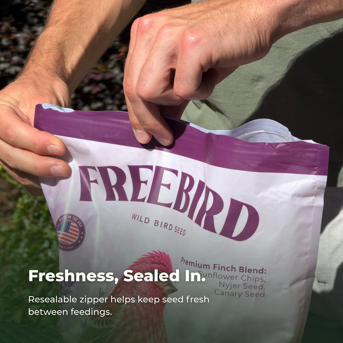 Freebird Finch Bird Seed Blend with Nyjer, Canary & Sunflower Chips - 6 lb