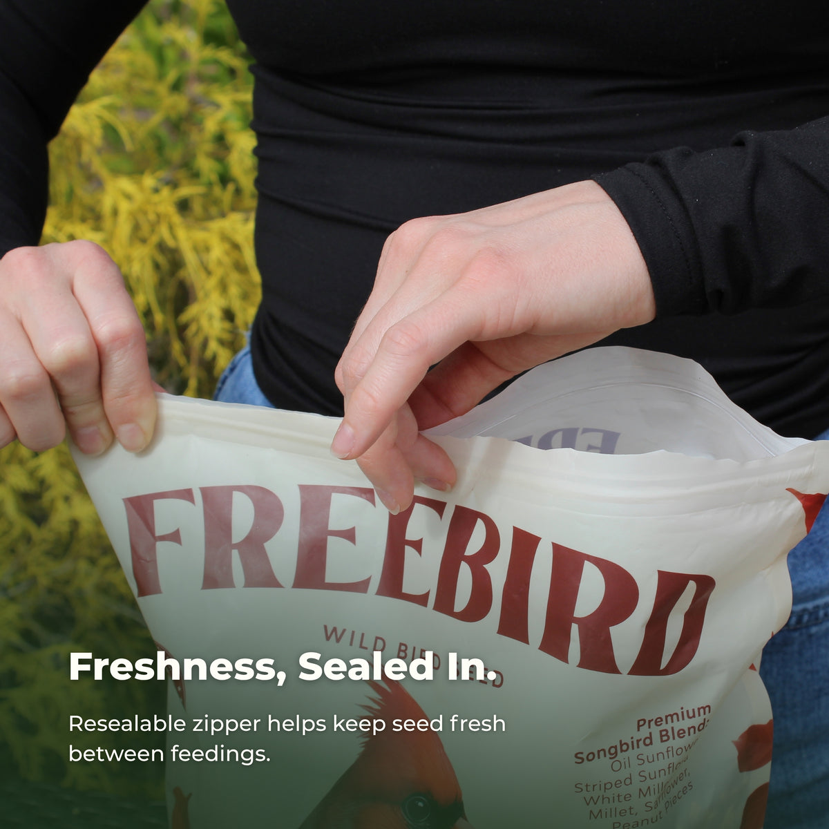 Premium Songbird Blend – 5 lb