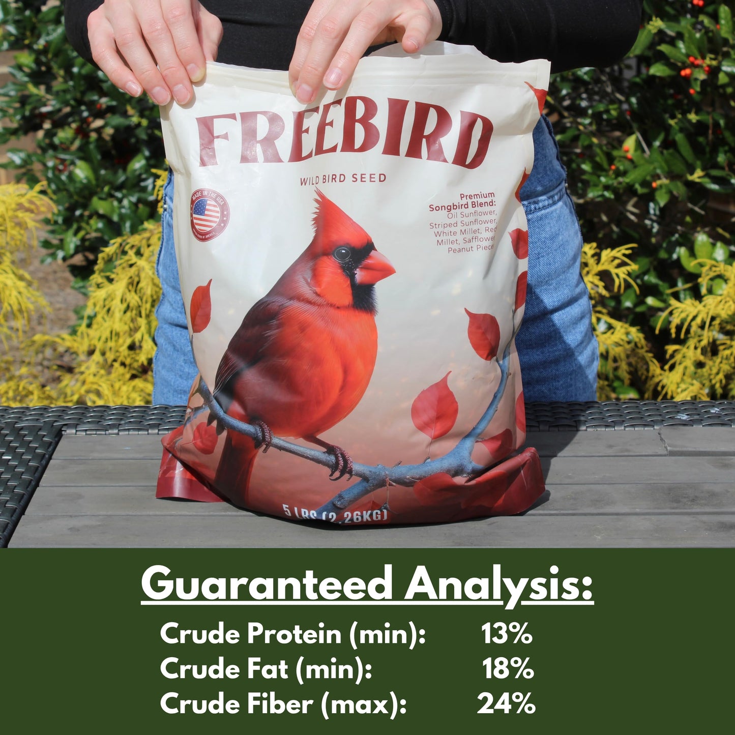 Songbird Black Oil Blend – 5 lb