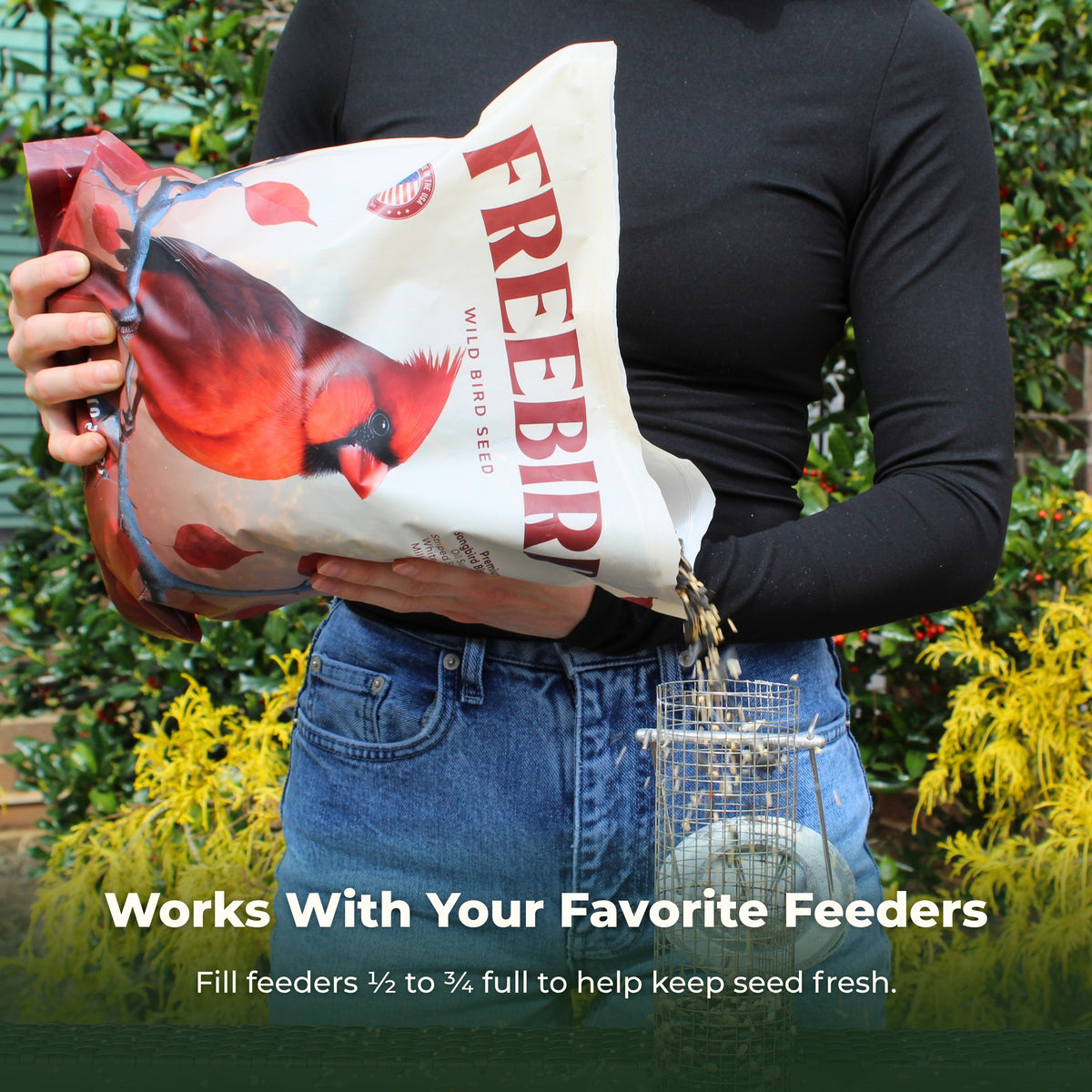 Premium Songbird Blend – 5 lb