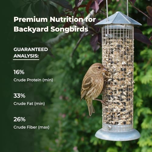 Freebird Premium Sunflower & Safflower Bird Seed for Outdoor Feeders - 6 lb
