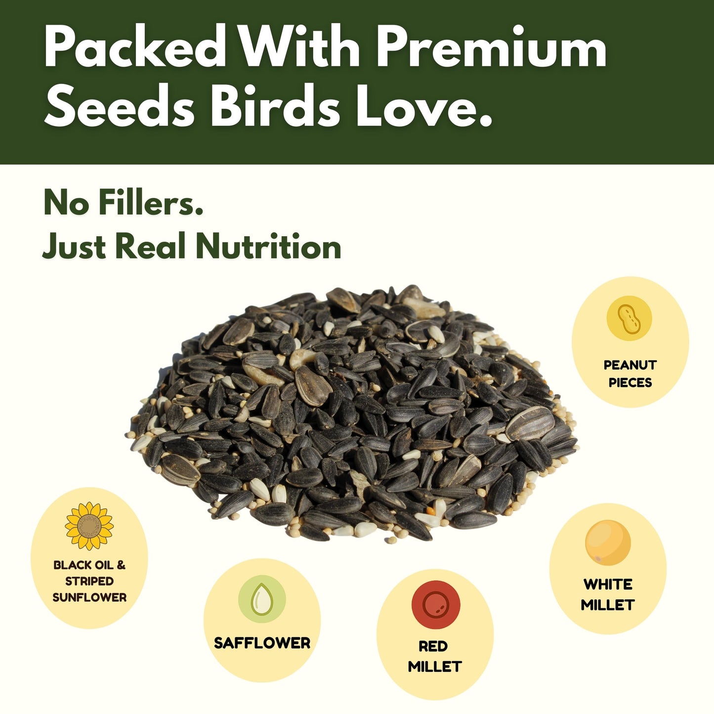 Songbird Black Oil Blend – 5 lb