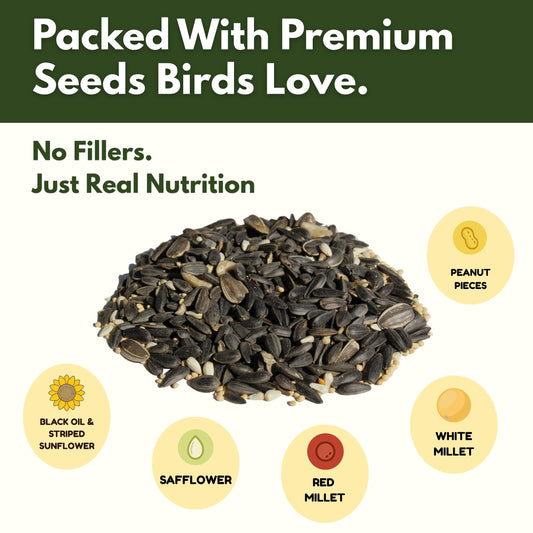 Songbird Black Oil Blend – 5 lb