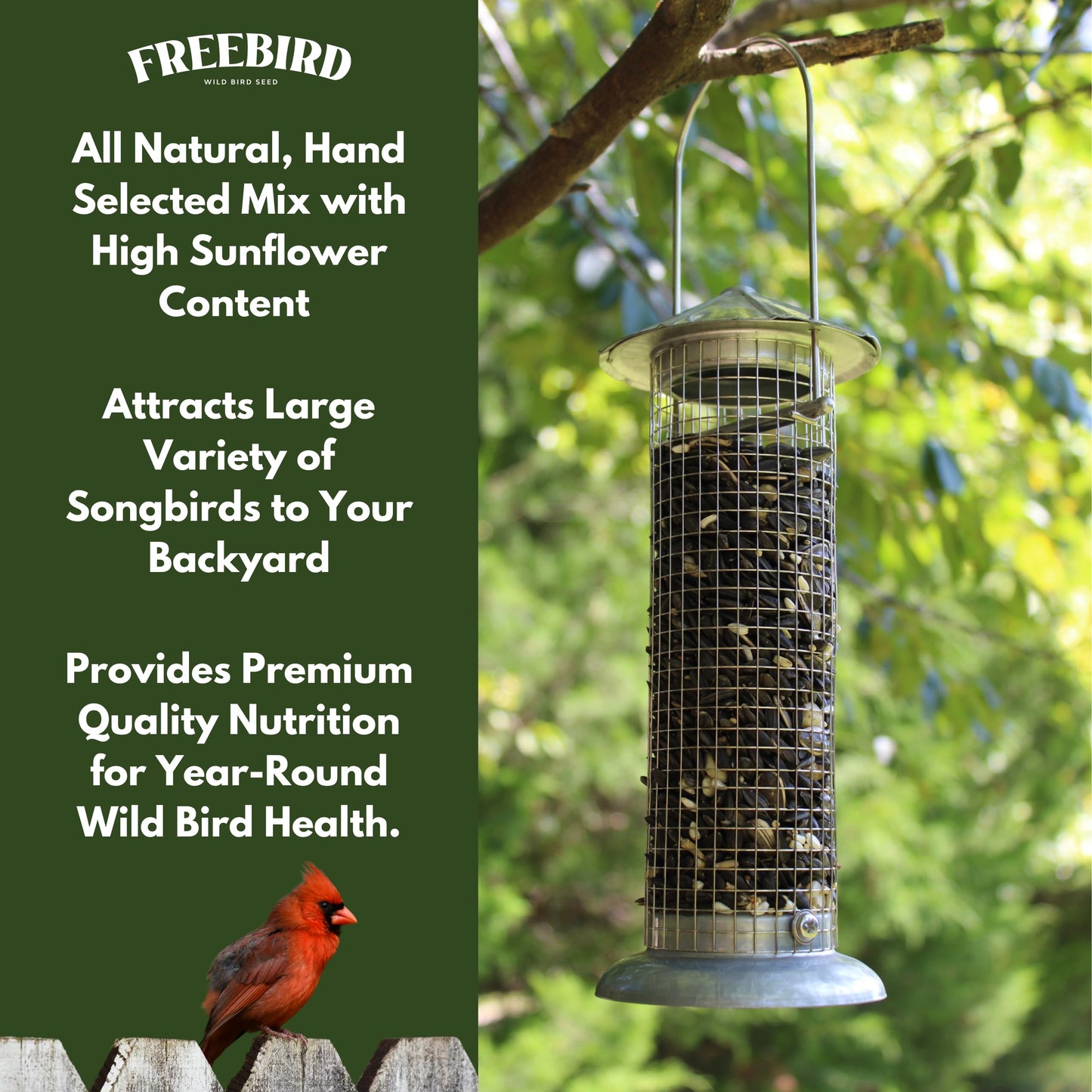 Songbird Black Oil Blend – 5 lb