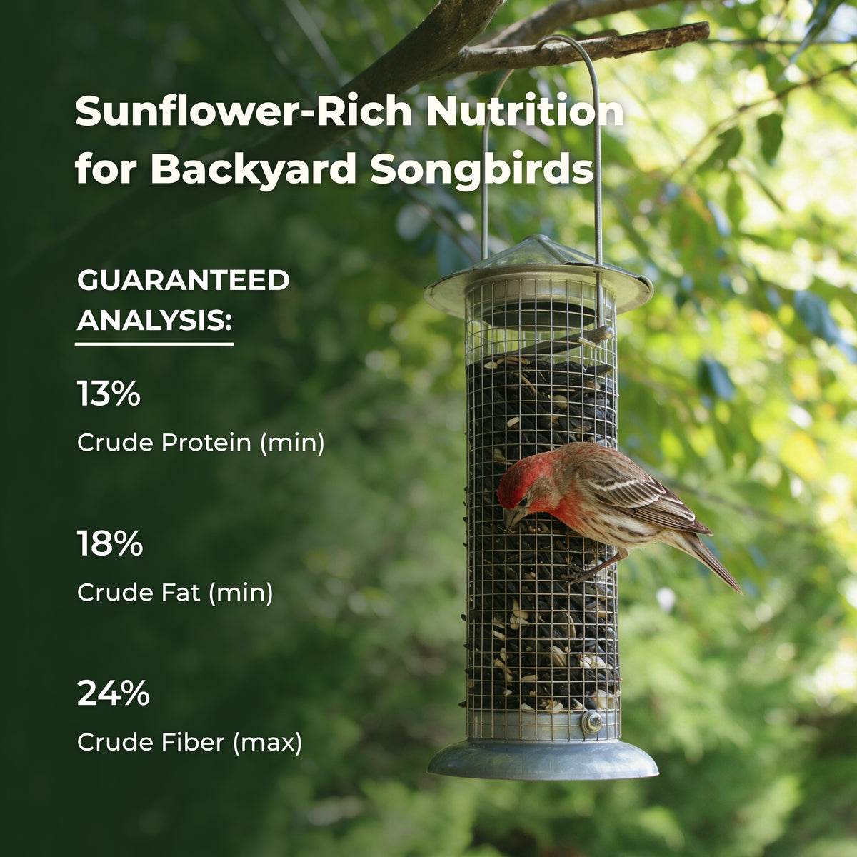 Premium Songbird Blend – 5 lb
