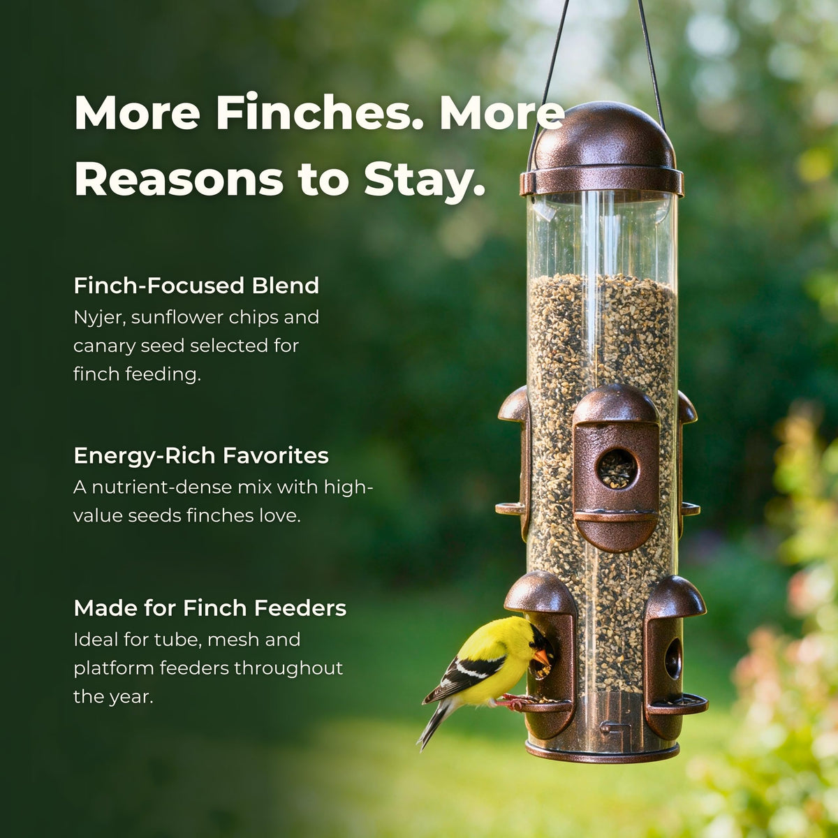 Freebird Finch Bird Seed Blend with Nyjer, Canary & Sunflower Chips - 6 lb