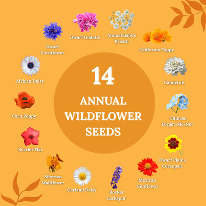 Pollinator Wildflower Mix – 4 oz