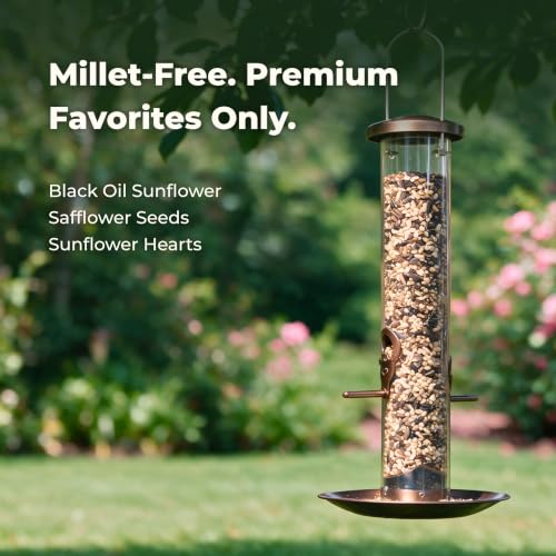 Freebird Premium Sunflower & Safflower Bird Seed for Outdoor Feeders - 6 lb