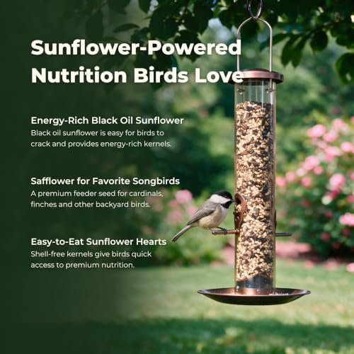 Freebird Premium Sunflower & Safflower Bird Seed for Outdoor Feeders - 6 lb