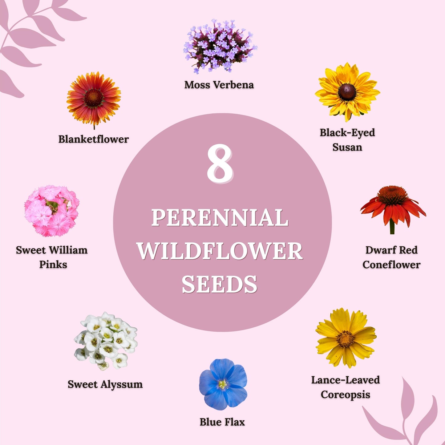 Pollinator Wildflower Mix – 4 oz