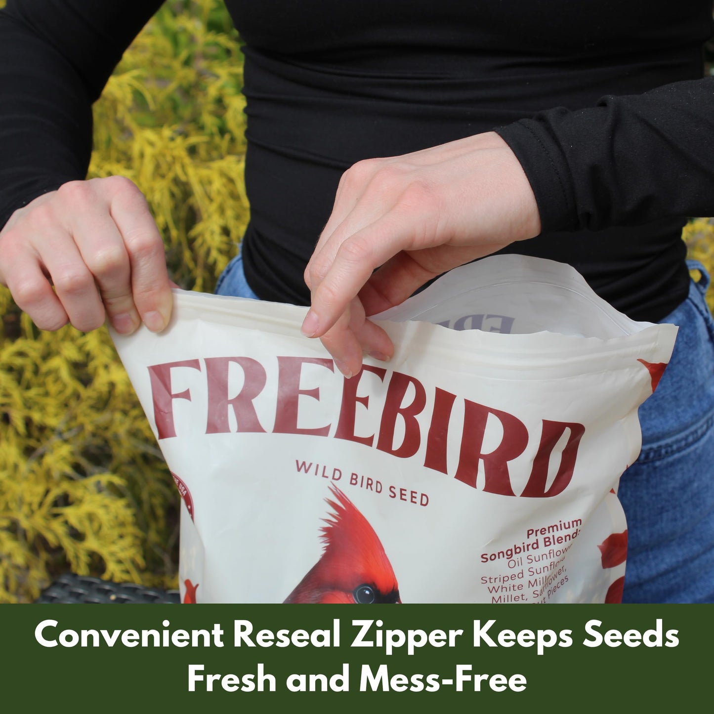 Songbird Black Oil Blend – 5 lb