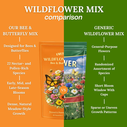Pollinator Wildflower Mix – 4 oz