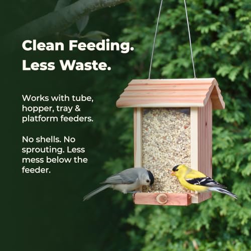 Freebird Premium No Mess Bird Seed for Outdoor Feeders - 7 lb