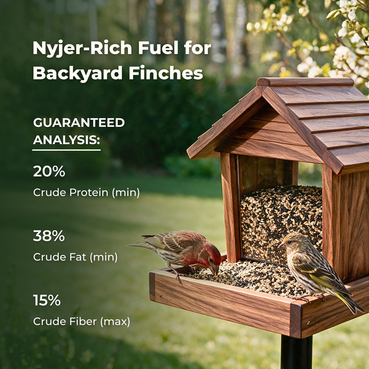 Freebird Finch Bird Seed Blend with Nyjer, Canary & Sunflower Chips - 6 lb